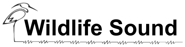 journal logo
